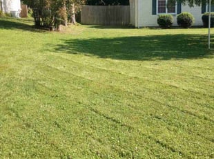 Brandon W.'s Grass Cutting service result