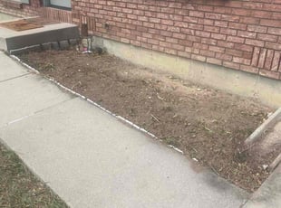 Weeding by Alberto Fraire for Amanda L. in Loveland, CO
