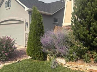 Bush Trimming by Kevin Ortiz for Cedric F. in Colorado Springs, CO