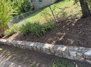 Weeding by Robert Hernandez for Heidi s. in Haltom City, TX