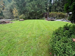 Erik B.'s Lawn Mowing Service service result