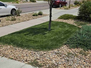 David C.'s Yard Cutting service result
