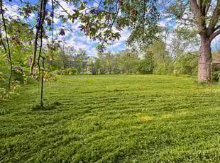 Amy R.'s Grass Cutting service result