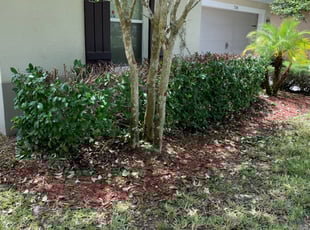 Bush Trimming by Carlos Gonzalez for Simcha B. in Davenport, FL