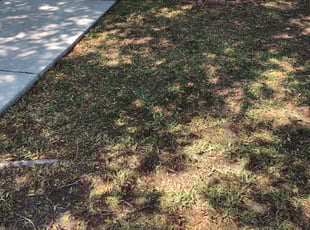 Leaf Removal by Rob Bowe for Rhonda P. in Riverview, FL