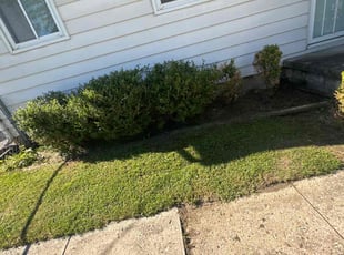 Weeding by Leonard Smithers for Andrea J. in Columbus, OH