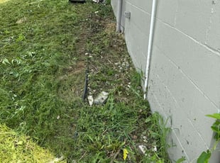 Cleanups by William Sidzyik for Mikayla S. in Omaha, NE