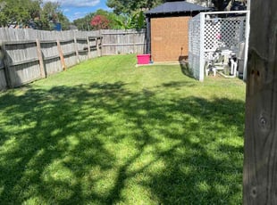 Ken D.'s Grass Cutting service result
