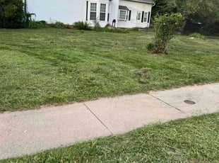 Kimberly S.'s Lawn Mowing Service service result