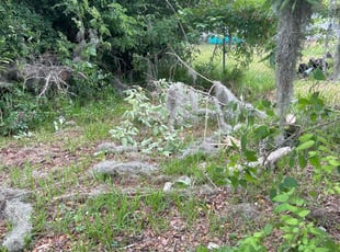 Cleanups by Bradley Wightman for James T. in Daytona Beach, FL