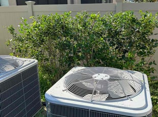Bush Trimming by Charles Howard for Jay T. in Wesley Chapel, FL