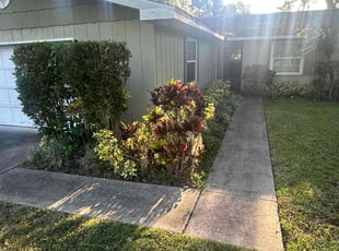 Bush Trimming by Christopher Lippens for Robert Q. in South Daytona, FL