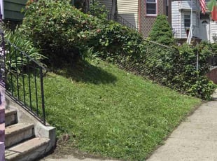 Bush Trimming by Kenneth Giarratano for Telma C. in Kearny, NJ