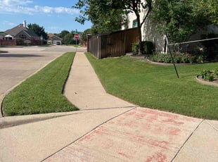 Linda and Sam L.'s Lawn Mowing Service service result