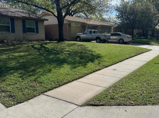 Jeanette H.'s Lawn Service service result