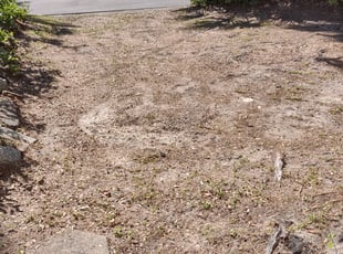 Leaf Removal by Gomez Wooden for Sean B. in Jacksonville, FL