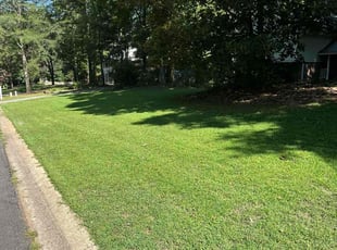 Doreen R.'s Yard Cutting service result