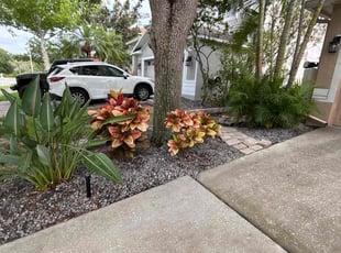 Weeding by Cheryl Badger for Shelley V. in Oldsmar, FL