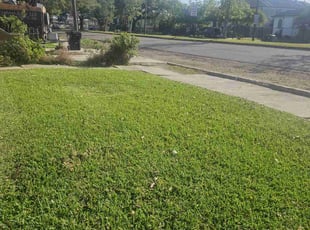 Ella F.'s Lawn Service service result
