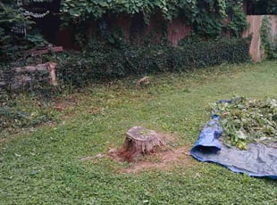 Cleanups by Mitchell Giolitto for Roberta B. in Dayton, OH