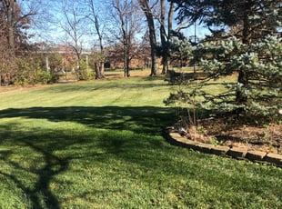 Leaf Removal by Ryan Black for Jared W. in Kansas City, MO