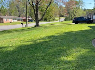 Latoshia J.'s Yard Cutting service result