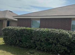 Bush Trimming by Juan Uribe for staci L. in Dallas, TX