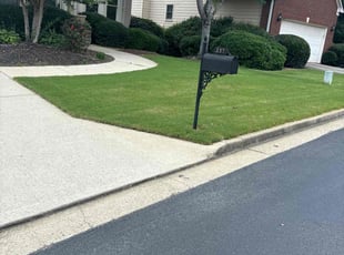 Nick W.'s Yard Cutting service result