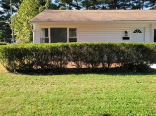 Bush Trimming by Sevriano Seda for Blaire B. in Newark, DE