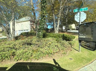 Bush Trimming by Matthew Veal for Shenelle S. in Lawrenceville, GA