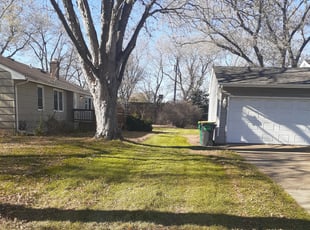 Leaf Removal by Jeremy Osell for LaToya B. in Minneapolis, MN