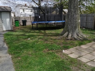 Leaf Removal by Lee Groves for Demeia H. in South Euclid, OH