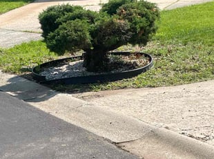 Bush Trimming by Bo Hickmon for Wandra G. in Kansas City, MO