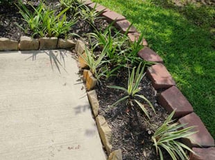 Weeding by Diego Gonzalez for Travis P. in Richmond, TX
