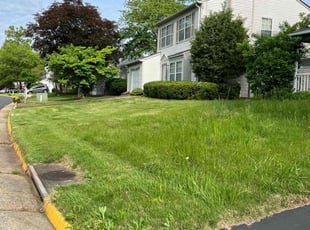 Bush Trimming by Alesandre Duarte for Greg S. in Herndon, VA