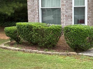 Bush Trimming by Tametra Walker for Toyanda D. in Powder Springs, GA