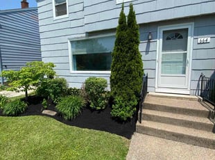 Mulching by Kyle Dingwall for Kelly M. in Buffalo, NY