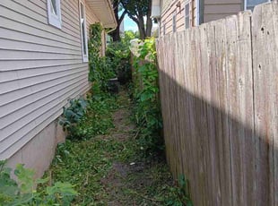 Cleanups by James Rogers for Andrea M. in Minneapolis, MN