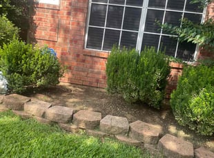 Weeding by Gabriel Piedra for Jana H. in Denton, TX