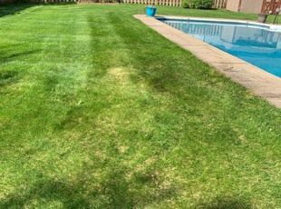 Cleanups by Justin Andel for Sarah A. in Apple Valley, MN