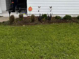 Bush Trimming by Delson Auguste for Samantha C. in Green Cove Springs, FL