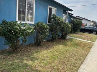 Bush Trimming by Edgar Mendez for Jolie T. in La Puente, CA