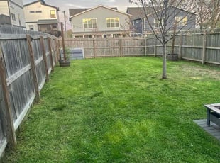 Mia D.'s Lawn Maintenance service result