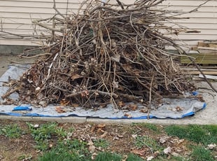 Cleanups by Alisha Lawson for Kara M. in Columbus, OH