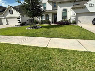 Saurabh S.'s Lawn Mowing service result