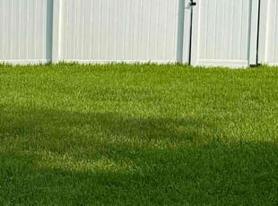 Michael H.'s Lawn Mowing Service service result