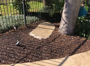 Leaf Removal by Leeandra Terry for Amber W. in Tampa, FL