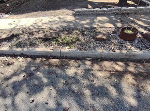 Leaf Removal by Bryce Rosario for Janelle P. in Cedar Park, TX