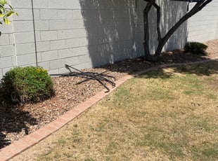 Bush Trimming by jimmy ruiz for Jordan J. in Mesa, AZ
