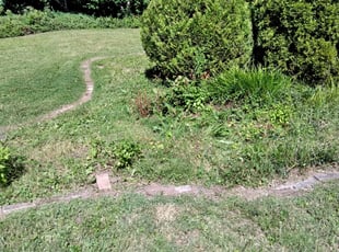 Bush Trimming by Eric Case for Roger M. in Indianapolis, IN